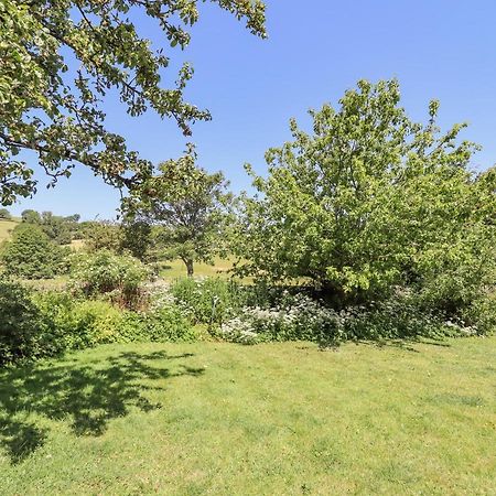 Dyffryn Bach Villa Rug Eksteriør billede